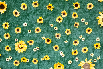 Sonnenblumen-Hintergund