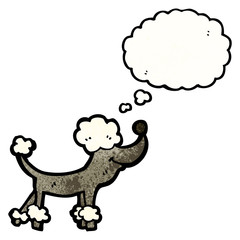 cartoon poodle