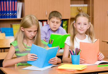 Fototapeta na wymiar primary school children in the classroom reading books