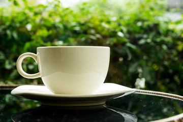 coffee cup on table in green background