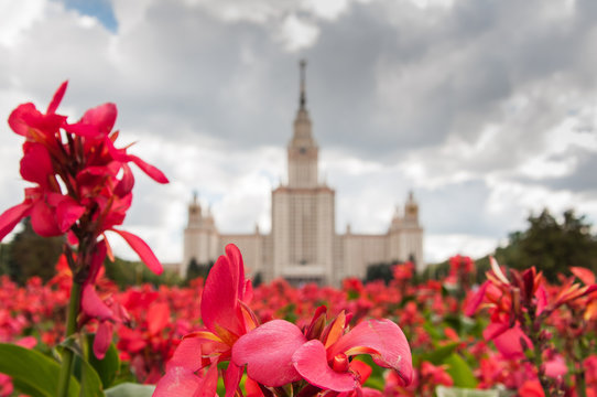 Lomonosov Moscow State University. Selected focus on flowers.