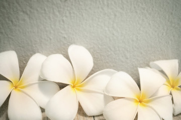 frangipani (plumeria) on the old wall on mulberry paper texture

