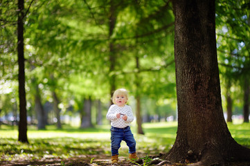 Toddler boy walking in the park