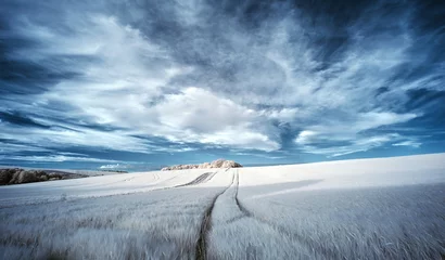 Fotobehang Stunning surreal false color infrared Summer landscape over agri © veneratio