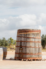 Cuba y barriles de madera al sol
