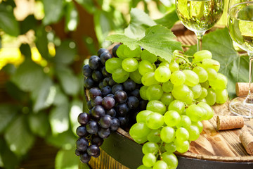Grape on a wooden barrel.