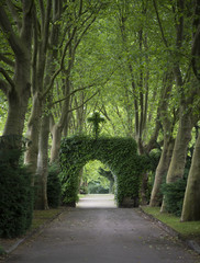 Allee zum Friedhof