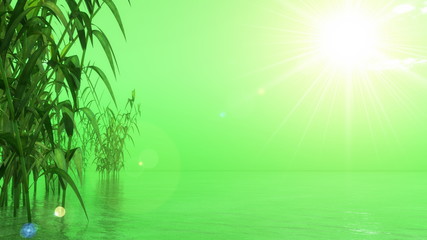 Fototapeta na wymiar Green nature - 3D render