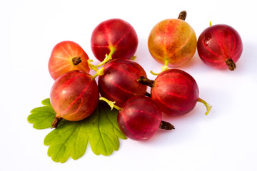 Ripe red  gooseberry with leaf isolated on white background