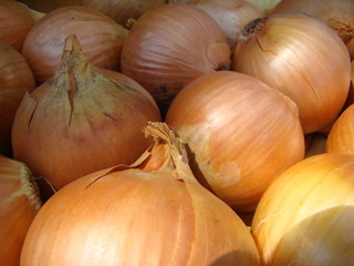 onion
