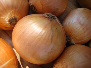 onion