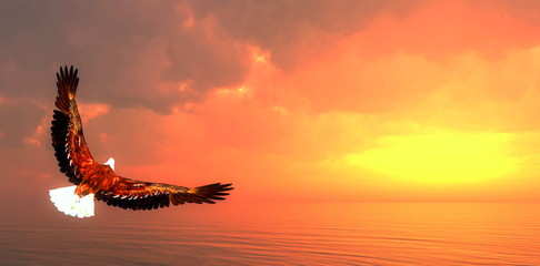 Naklejka na ściany i meble Eagle flying - 3D render