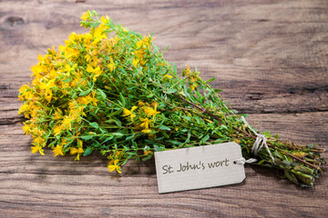 Hypericum perforatum or St john's wort