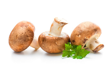 Fresh champignon mushrooms