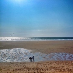 Surfers on the beach