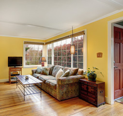 Lovely hardwood living room with colorful sofa, and yellow walls