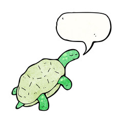cartoon turtle