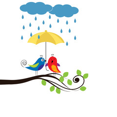 Birds with umbrella