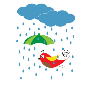 Bird with umbrella
