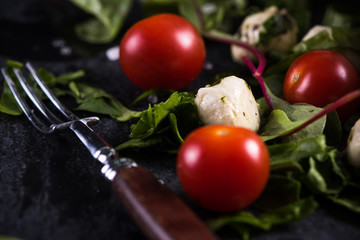 Diet salad, fresh tomato and mozzarella