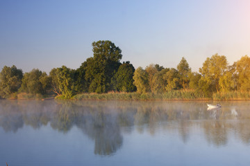 Poranek nad rzeką