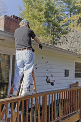 Cleaning Wet Leaves Out of the Rain Gutter