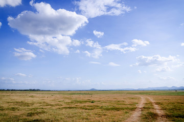 Fototapeta na wymiar Landscape of cloud and dry field