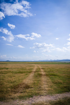 Landscape of cloud and dry field © Kaikoro
