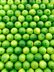 Rows of green limes