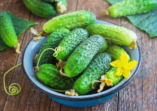 Cucumbers in a metal bowl