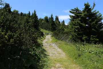 Obraz premium Hiking path on the Rax in the Austrian Alps