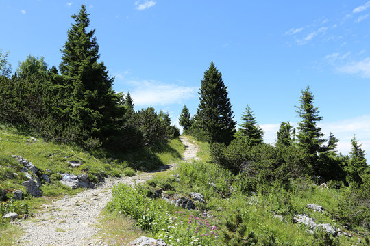 Hiking path on the Rax in the Austrian Alps
