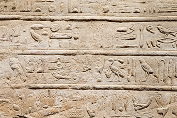 old egypt hieroglyphs carved on the stone