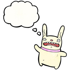 cartoon crazy rabbit with thought bubble