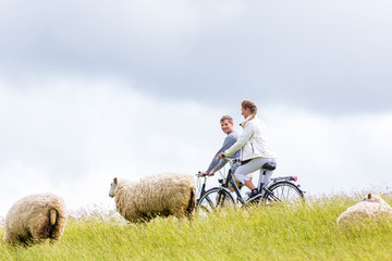 Paar bei Radtour mit dem Fahrrad am Deich mit Schafen