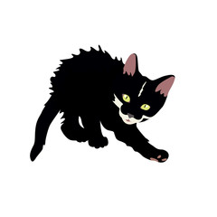 Black little kitten on a white background