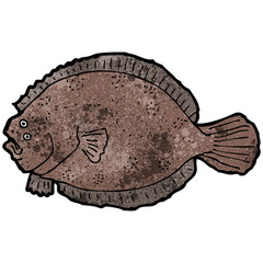 flat fish illustration