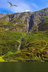 Naklejka premium Waterfall in fjord Sognefjord - Norway