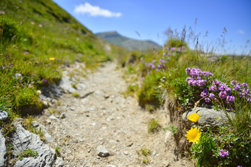 Obraz premium mountain trail