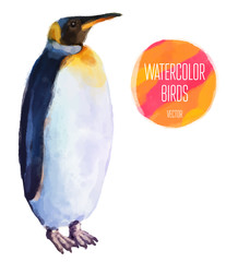 Vector watercolor style  illustration of bird.