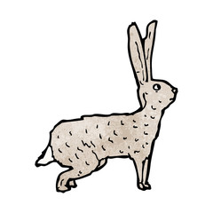 hare illustration