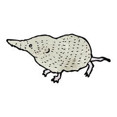 shrew illustration