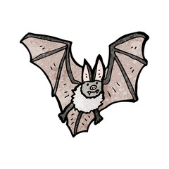 vampire bat illustration