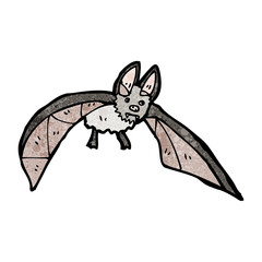 vampire bat illustration