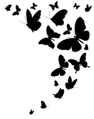 butterflies design - 86968010