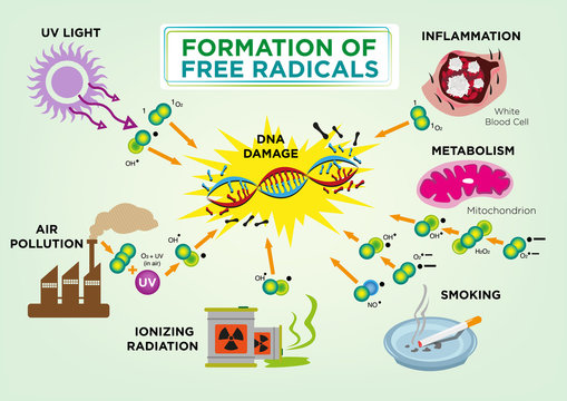 Formation Of Free Radicals Diagram Concept. Editable Clip Art.