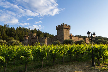 Fototapeta na wymiar Wine castle in Napa Valley