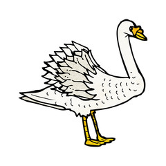 swan illustration