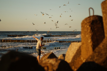 Mężczyzna karmi mewy na plaży. © 1dude