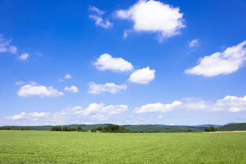 道東の訓子府の田園風景